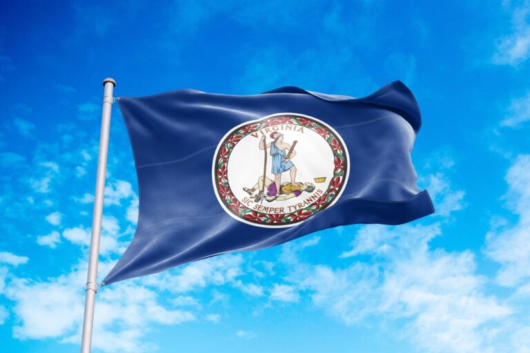 Virginia flag